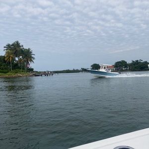 Meet your Posher, Rose